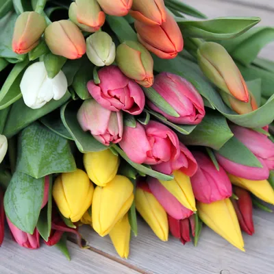 Тюльпаны | Tulips flowers, Beautiful bouquet of flowers, Boquette flowers