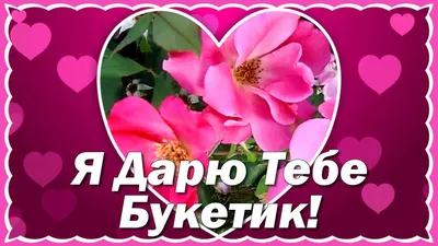 Для Вас Мои Красивые Цветы ♥!!! | Александр Антонов | Дзен