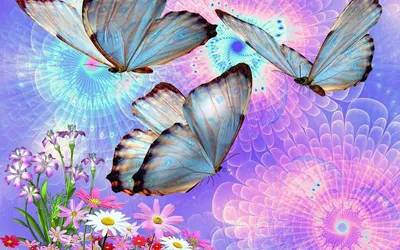 Красивые бабочки сидят на цветы на цветном фоне :: Стоковая фотография ::  Pixel-Shot Studio