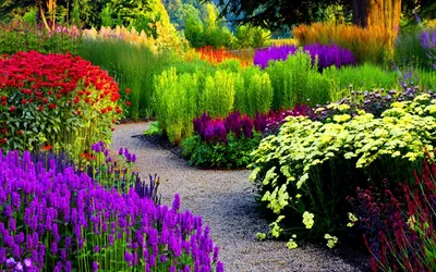 Красивые цветы в саду :: Стоковая фотография :: Pixel-Shot Studio