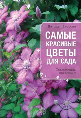 Бесплатное изображение: Хризантема, многолетнее, цветочный сад, красивые  цветы, красноватый, лепестки, садоводство, цветок, цвести, завод