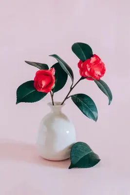 Букет цветов в вазе "Дольче" – заказать на Ярмарке Мастеров – S1SBMRU |  Композиции, Энгельс