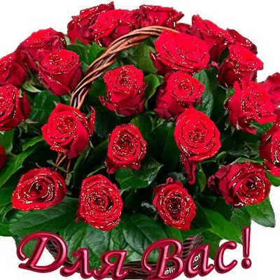 Обои цветы, розы, букет, красные, бутоны, красивые картинки на рабочий  стол, раздел цветы - скачать