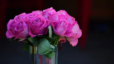 Пин от пользователя ροουάν μαχμουντ 🦋 на доске Girly pictures | Фотография  цветов, Картины роз, Букеты фотографии