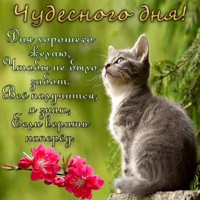 💌☀️😄 Картинки Хорошего дня - скачать (226 шт.)