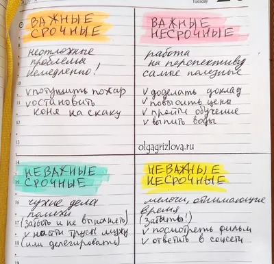  Красивый ежедневник без дат, со светлыми  линейками/клетками/пометками