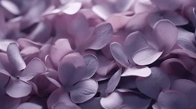 Фиолетовый | Пикабу