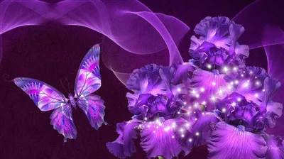 Фиолетовый цвет - картинки и красивые фото