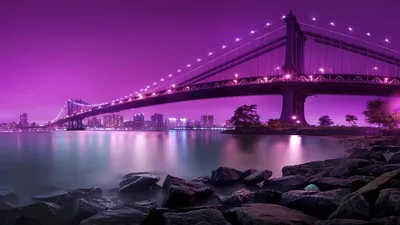 Красивые картинки в фиолетовых тонах - 68 фото