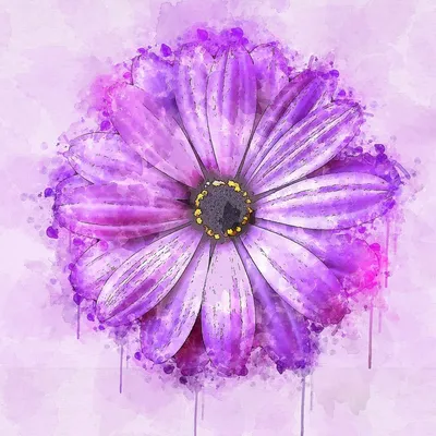 Красивые картинки фиолетового цвета - 82 фото