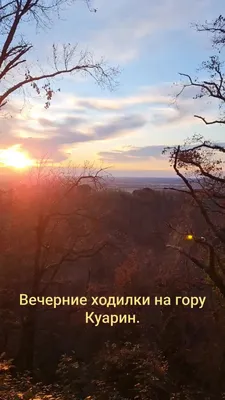 восход солнца с деревом в поле фото, красивые вечерние пейзажи, 140,  весеннее небо фон картинки и Фото для бесплатной загрузки