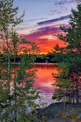 Вечерние пейзажи озера Светлого. Photographer Dmitriy Antipov