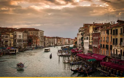 Вид Красивый Цвет Канал Венеции — стоковые фотографии и другие картинки  Венеция - Италия - Венеция - Италия, Арка - архитектурный элемент,  Архитектура - iStock