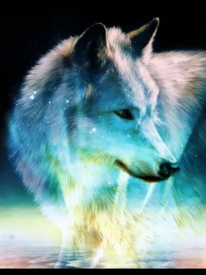 Красивый волк - 46 фото