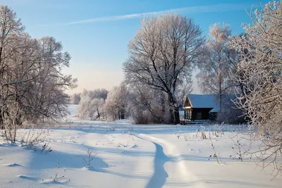 Пейзаж времена года - красивые фото