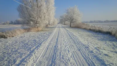 Красивые времена года картинки