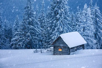 Времена года лето - красивые фото