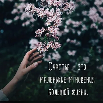 Лучшие цитаты из книг в красивых картинках онлайн — Canva