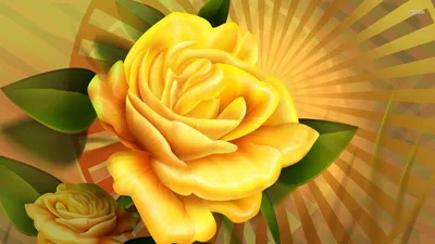 Красивые желтые цветы - 72 фото