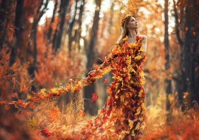 Заставка на ватсап для женщины красивые осень - фото и картинки  