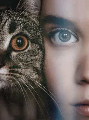 Соблазнительная девушка- Женщина Кошка…» — создано в Шедевруме