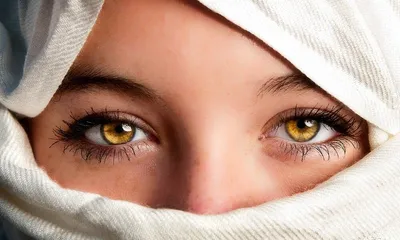 Красивые женские глаза с ярко-синим макияжем :: Стоковая фотография ::  Pixel-Shot Studio