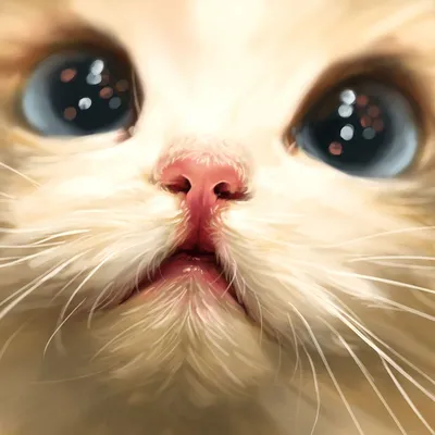 Картинки с котиками на аватарку (190 картинок) | Кошачий арт, Диснеевские  темы, Белый кот