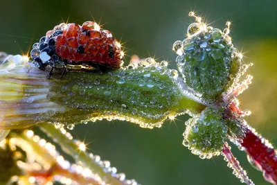 Жизнь прекрасна красивые картинки (47 лучших фото)