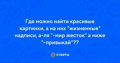 Когда на жизненные трудности можно взглянуть с юмором | Пикабу