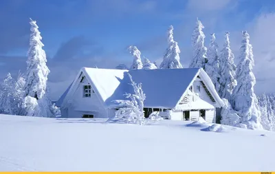 красивые картинки :: снег :: зима :: дом :: солнце / картинки, гифки,  прикольные комиксы, интересные статьи по теме.