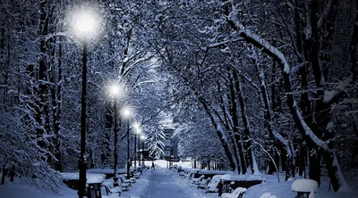 Красивые обои зима, снег, деревья, река, луна Забавный кофе металлический  жестяной знак Ностальгический ретро металлический Забавный Знак Подарок  8x12 дюймов | AliExpress