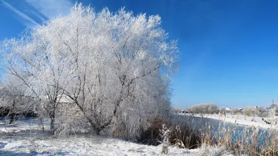 Красивые картинки зима, ночь, город, фонари (41 фото)