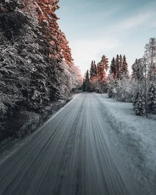 Красивые зимние картинки на аву (47 фото)