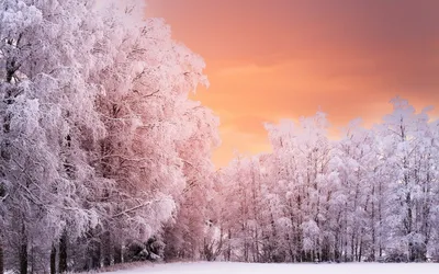 Красивый зимний фон (35 фото) - 35 фото