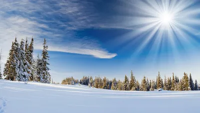 Зимние пейзажи с животными - 79 фото