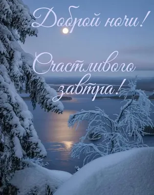 Картинка: Спокойной зимней ночи! Прекрасных сновидений!