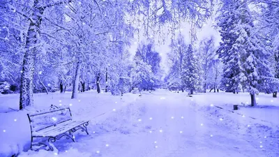 Удивительно красивые зимние обои на рабочий стол (17 фото) - Алые паруса