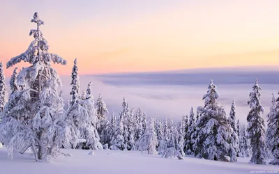 Красивые зимние картинки (63 фото)