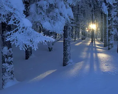 Красивые зимние фотографии | FotoRelax