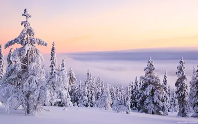 Красивые зимний пейзаж картинки