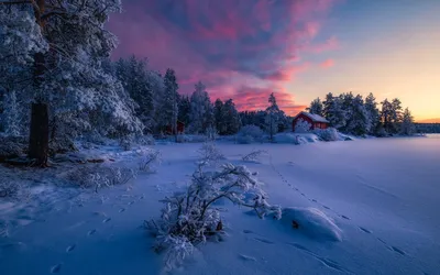 Красивый зимний пейзаж со снежным мостом вечером :: Стоковая фотография ::  Pixel-Shot Studio