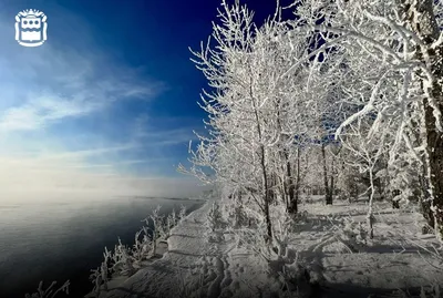 Красивый Зимний Пейзаж Стоковые Фотографии | FreeImages