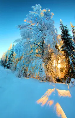 Фото Красивый зимний пейзаж, автор KariLiimatainen