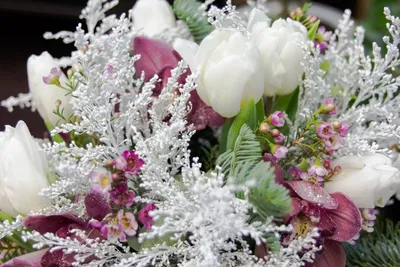 Красивые зимние цветы (40 фото) - 40 фото
