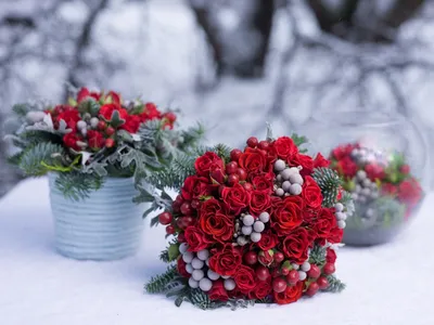 Самые красивые зимние цветы - 69 фото