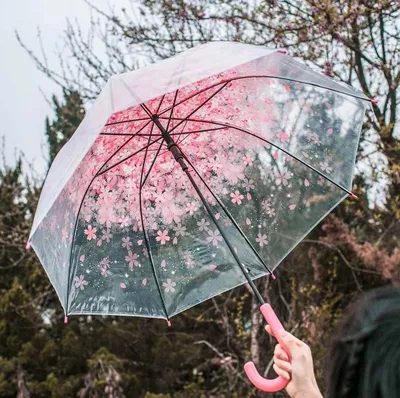 Красивые зонтики картинки - 66 фото