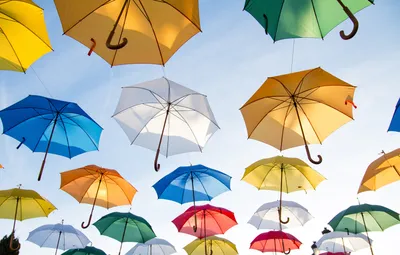 Белла Умбрелла / Bella Umbrella / Красивые зонтики
