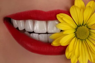 Сделать красивые керамические коронки на зубы. Чего стоит цифровая  стоматология