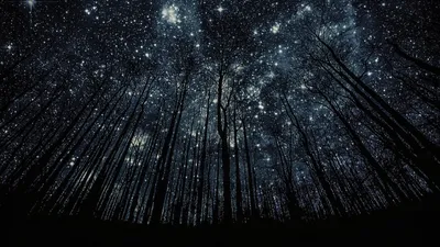 Красивые картинки звездное небо (38 фото)
