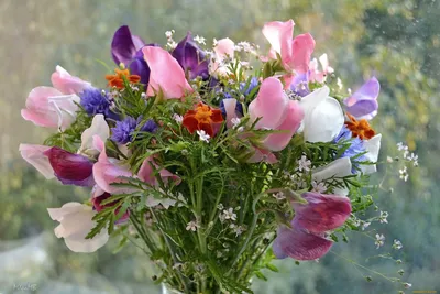 Пазл букет полевых цветочков - разгадать онлайн из раздела "Цветы" бесплатно